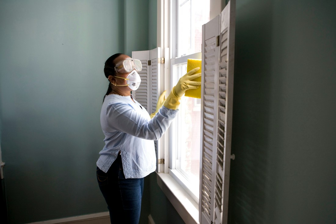 Professional cleaning of a bright home